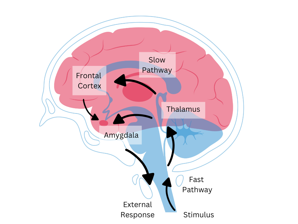 Controlling Emotions Explained